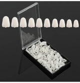 Endoking Preformed Temporary Crowns