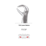 GDC Extraction Forceps S/12 With Cassette Instruments Kit (EFPWC12)