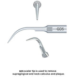 Woodpecker Scaler Tip GD5 for DTE & Satelec Scalers