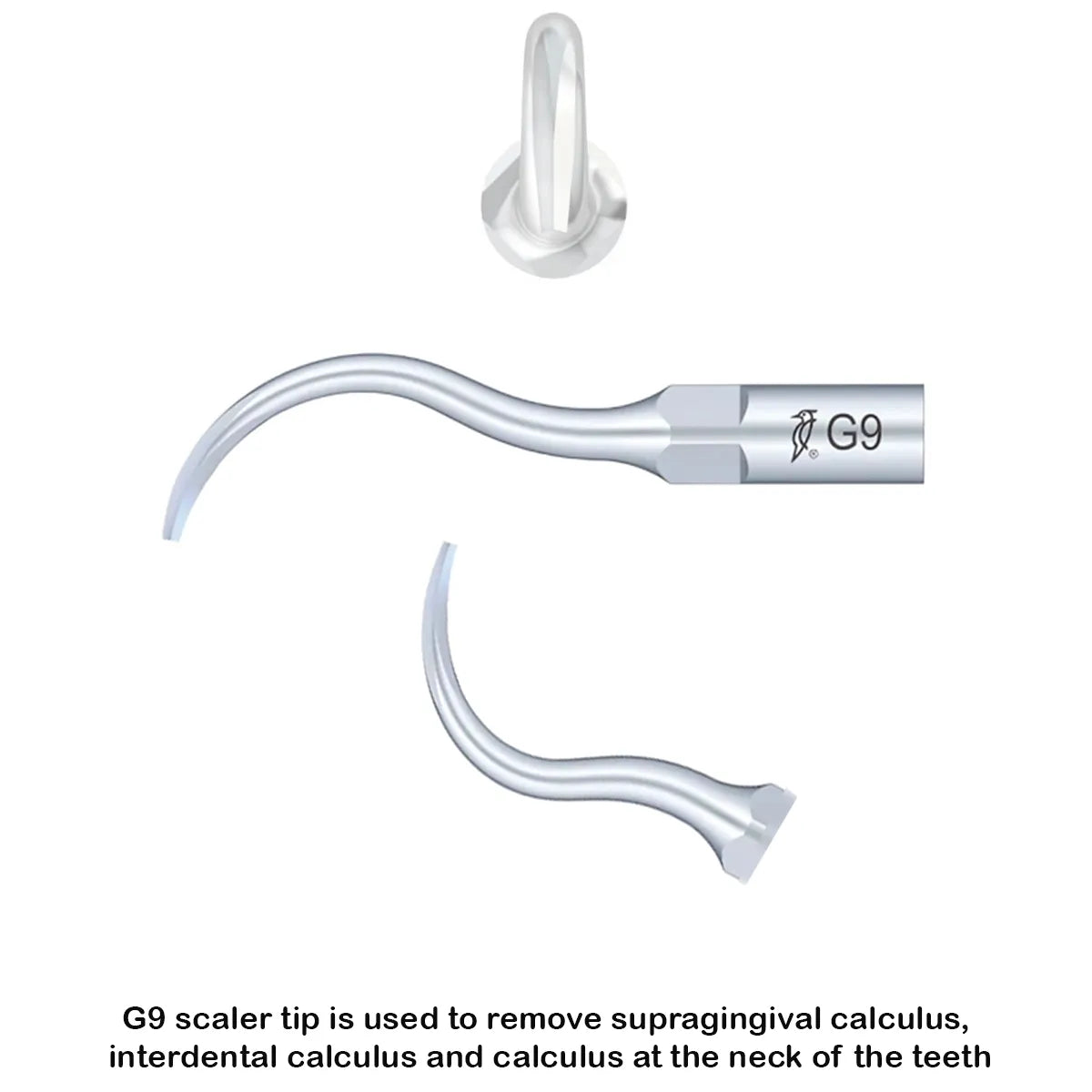 Woodpecker Scaler Tip G9 for UDS & EMS Scalers