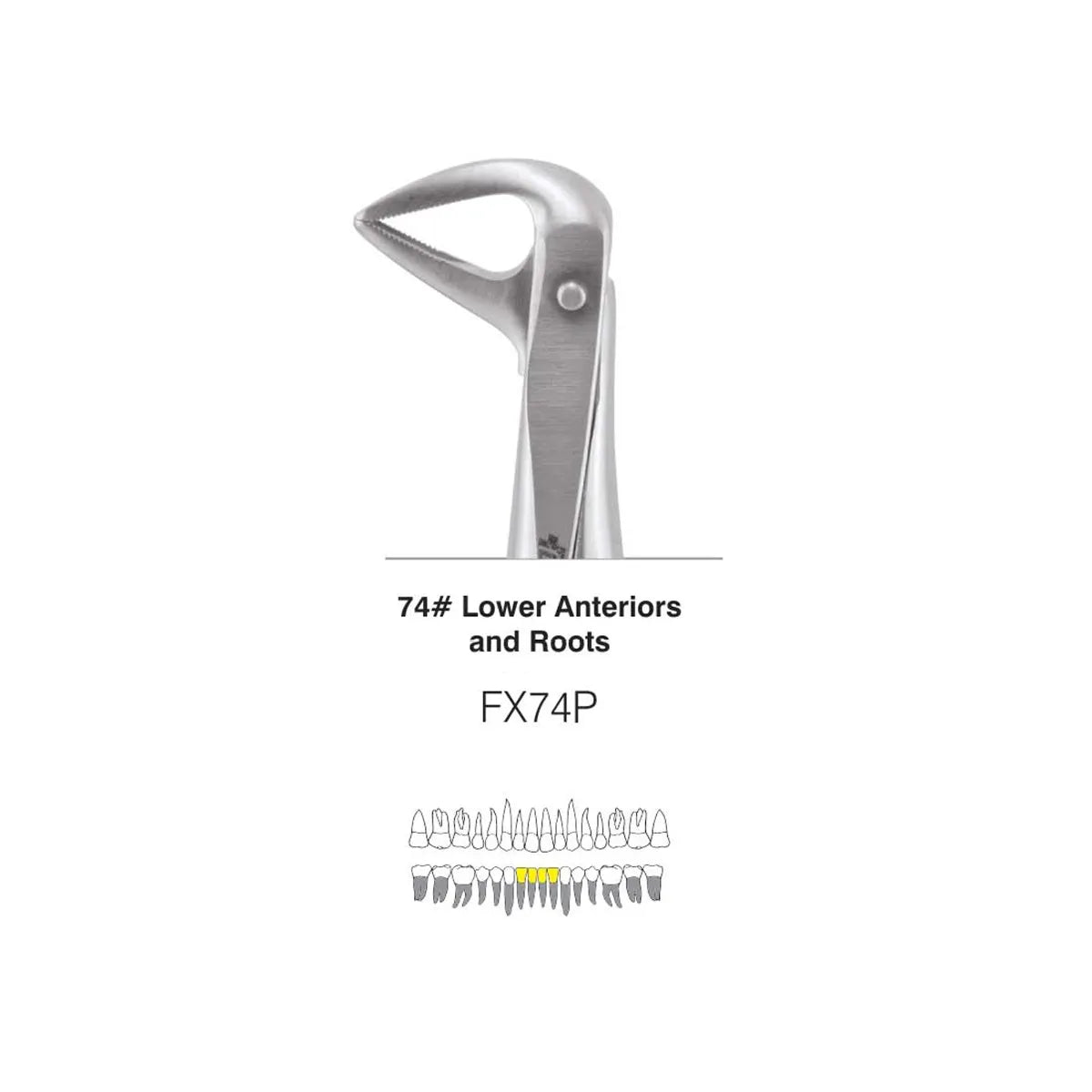 GDC Extraction Forceps S/12 With Cassette Instruments Kit (EFPWC12)