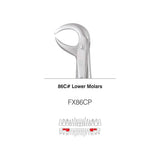 GDC Extraction Forceps S/12 With Cassette Instruments Kit (EFPWC12)