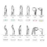 GDC Extraction Forceps S/12 With Cassette Instruments Kit (EFPWC12)