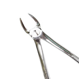 Api+ Forcep Mirror Finish