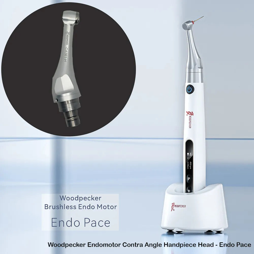 Woodpecker Endomotor Contra Angle Handpiece Heads