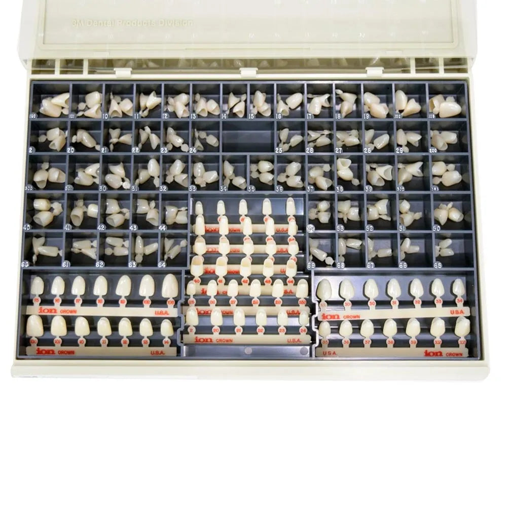 3m Espe Polycarbonate Crowns