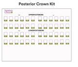 3M Paedodontic Zirconia Crowns Kits