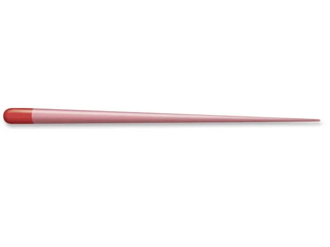 Dentsply Protaper Next Gutta Percha Points (Pack of 60)