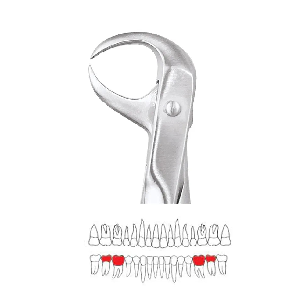 GDC Extraction Forceps Lower Molars - 86 Premium (FX86P)