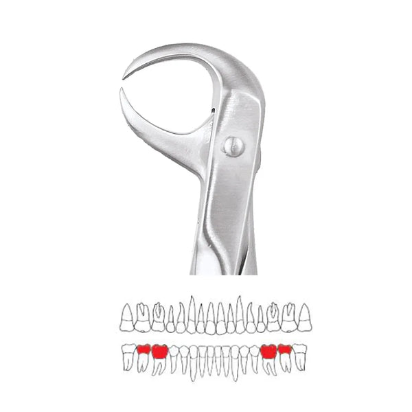 GDC Extraction Forceps Lower Molars - 86 Premium (FX86P)