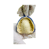AvueAlgin - Non Chromatic, Dust Free, Dental Alginate Impression Material
