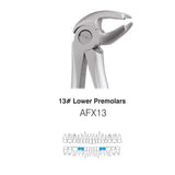 GDC Extraction Forceps Lower Premolars - 13 Atraumatic (AFX13)