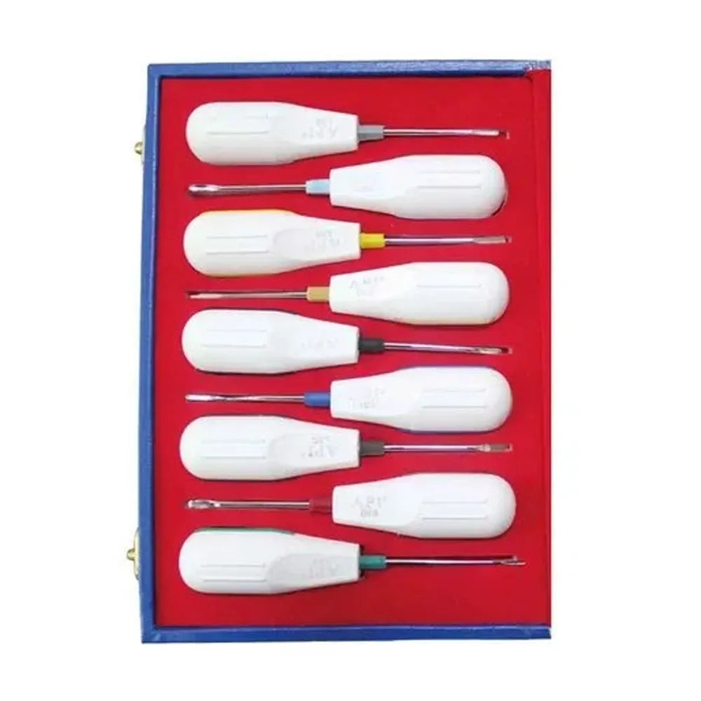 Dental  Luxator Set of 10