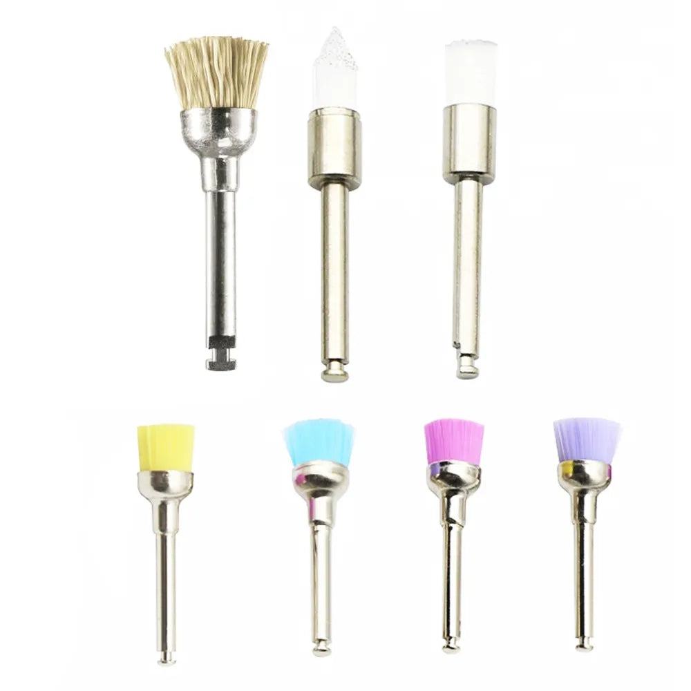 Cotisen Prophy Polishing Brushes (Pack Of 100)