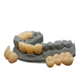 D-Tech 3D Accuprint Crown & Bridge Pro Dental 3D Printing Resin