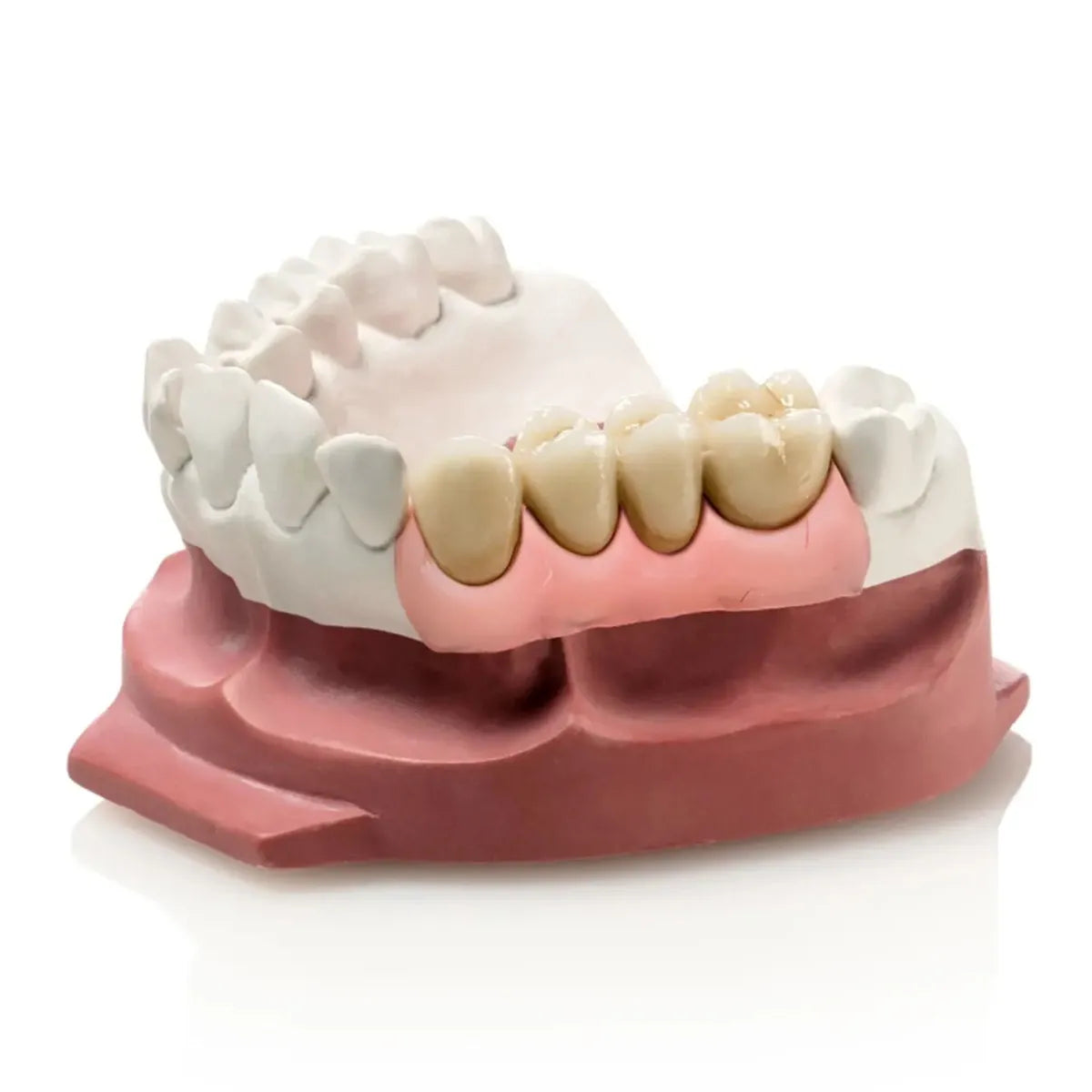 Zhermack Gingifast