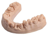 D-Tech 3D Accuprint Model Pro Dental 3D Printing Resin