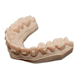 D-Tech 3D Accuprint Model Standard Dental 3D Printing Resin