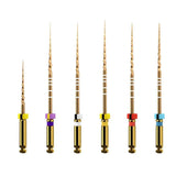 Dentsply Protaper Gold Rotary Files Assorted