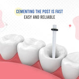 Endoking Fiber Post Refills