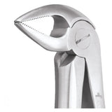 GDC Extraction Forceps Lower Roots Premium - (FX33AP)