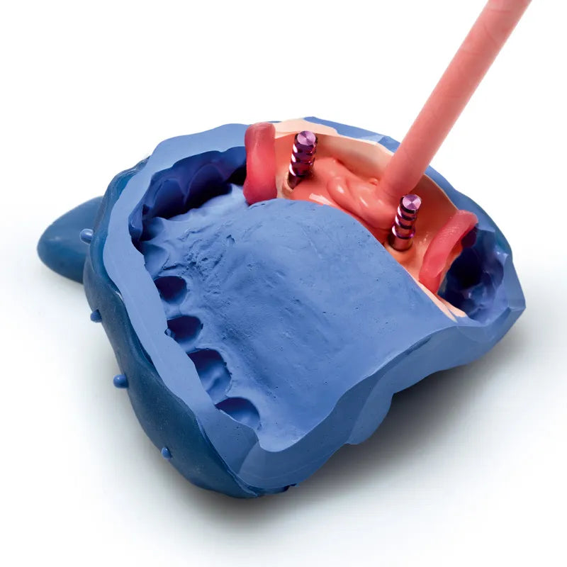 Zhermack Gingifast