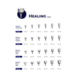 Impact Healing Screw Internal Hex