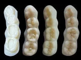 Dpi Selfcure Tooth Moulding Powder