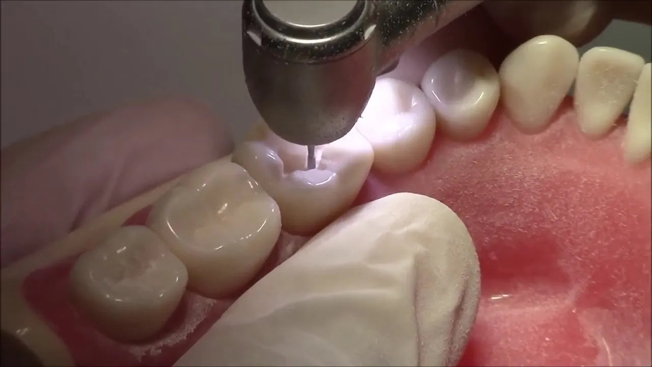 API Typodont Teeth Set with Screw