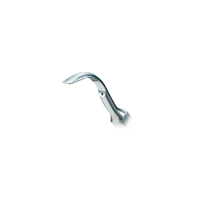 Nsk Scaler Tips