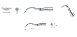 Nsk Scaler Tips