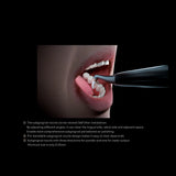 Woodpecker Air Polisher AP-H