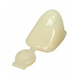 3m Espe Polycarbonate Crowns