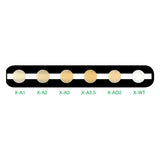 GC Solare X Composite (5gm)