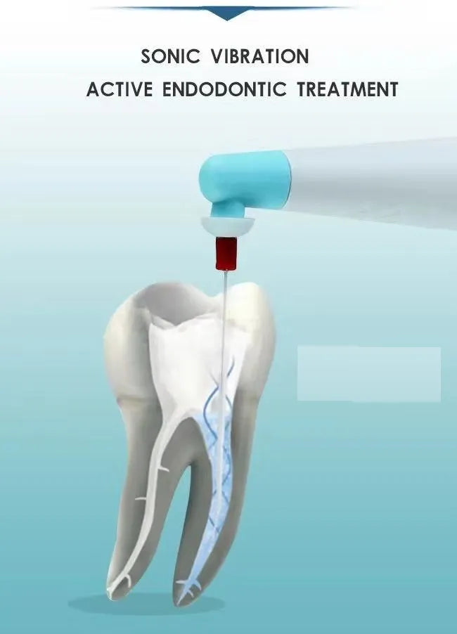 API Sonic Endo Irrigator (60 Tips Free)