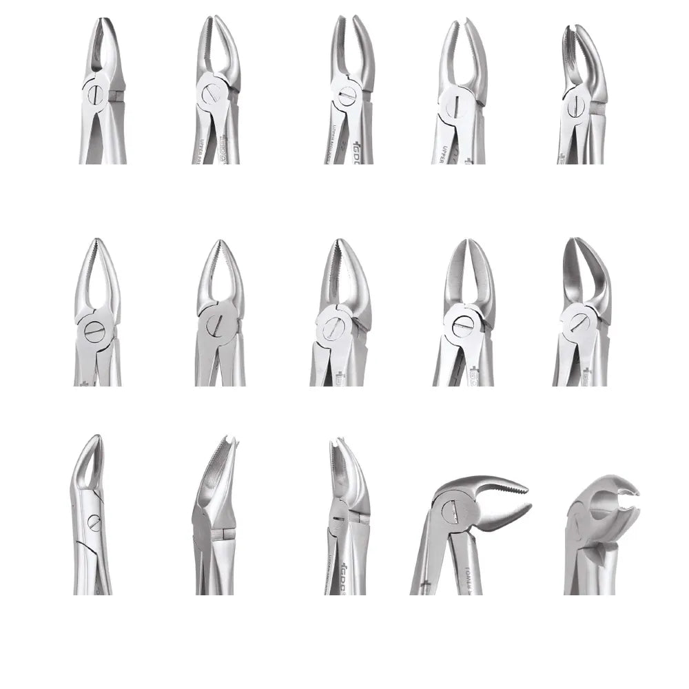 Gdc Device GDC Extraction Forceps Standard India | Dentaid Devices