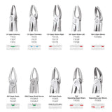 GDC Extraction Forceps Standard
