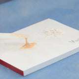 Vincismile Luting-I Glass Ionomer Luting Cement