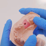 Vincismile Perfit A-Silicone Gingival Mask